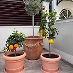 Apartamento Negrin